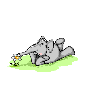 amour à distance