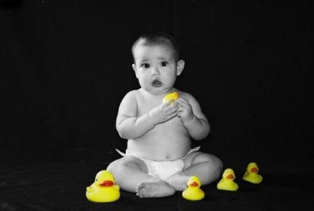 bebe poussins